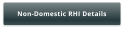 Non-Domestic RHI Details